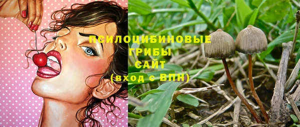 тгк Алзамай