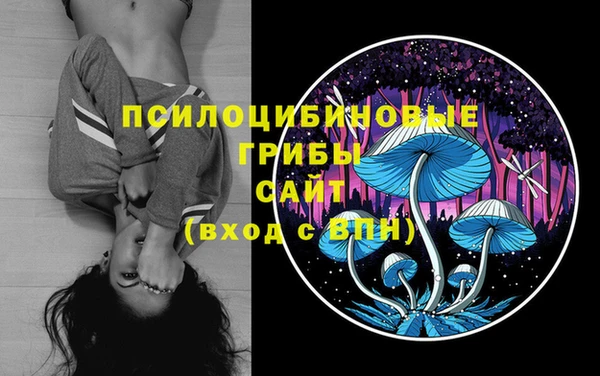 тгк Алзамай