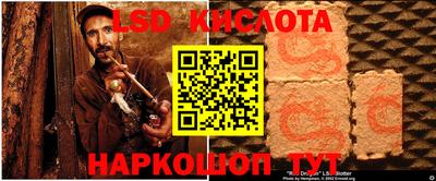 PSILOCYBIN Гусев