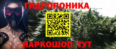 стаф Гусь-Хрустальный